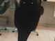 Kalkan Grup Sex Yapan Escort